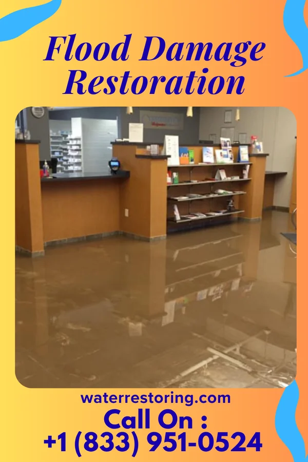 Flood Damage Restoration in Buffalo Grove, IL